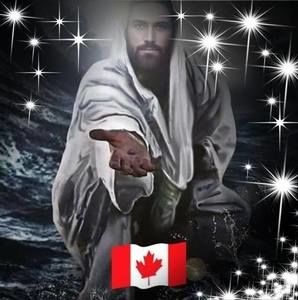 Meet your Posher, Carol